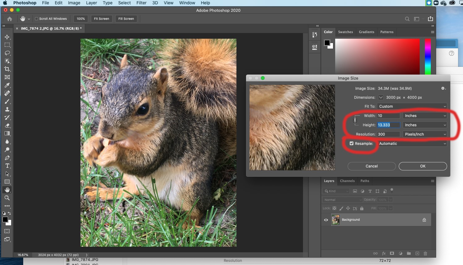 Step 4